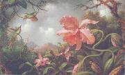 Martin Johnson Heade Orchids and Hummingbirds oil painting picture wholesale